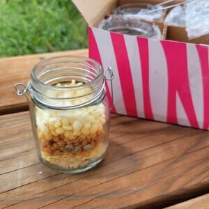 New/Display Pink Zebra Glimmer Candle Kit | 6 Petite Mason Jar Set w/ Wicks